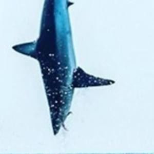 Meet your Posher, Aaron